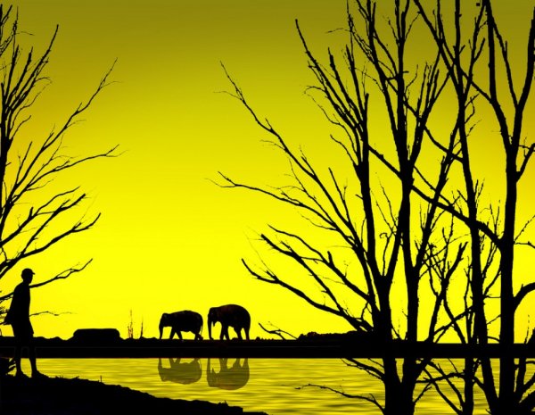 Силуэтное рисование