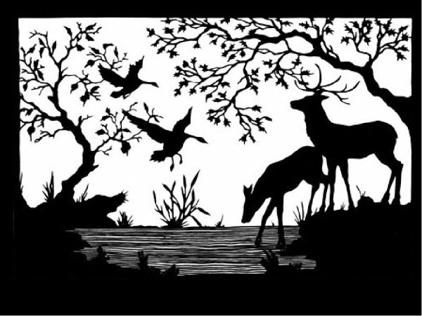 Силуэты природы и животных