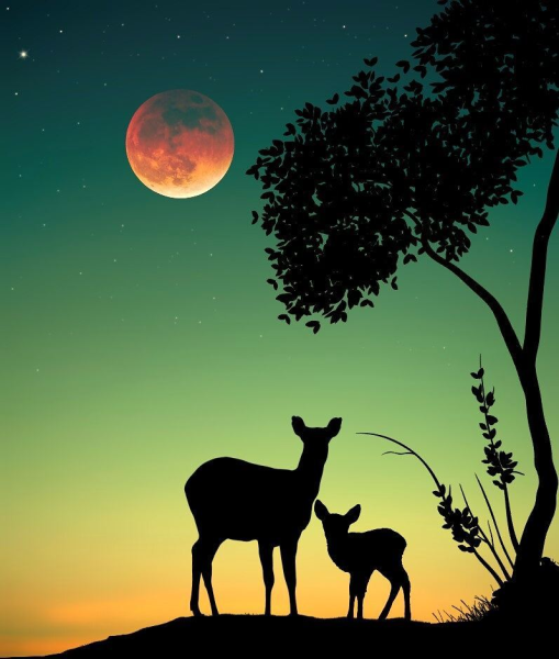 Пейзаж силуэт