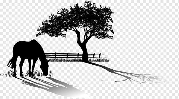 Силуэты природы