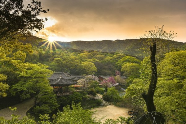 Художник Kang Jung ho