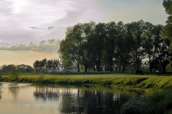 Родные пейзажи