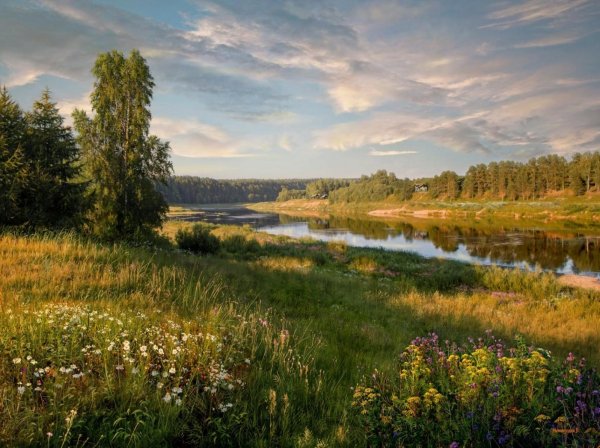 Художник Валерий Ниминущий пейзажи