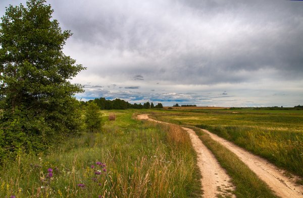 Родные места