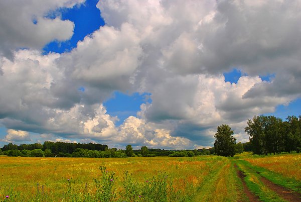 Родное село