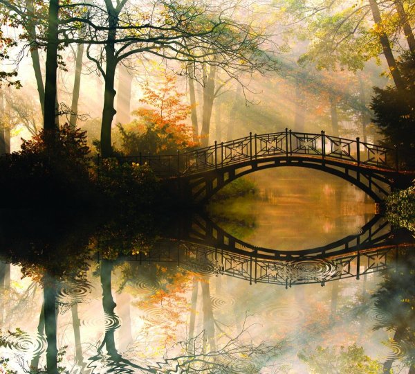 Красивый пейзаж с мостиком