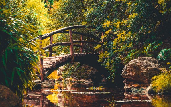 Деревянный мостик через речку