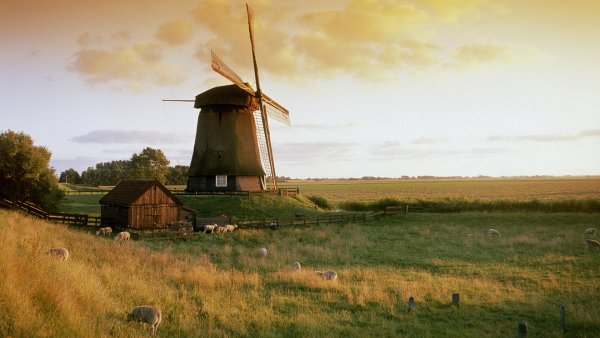 Ветряные мельницы в Голландии в поле