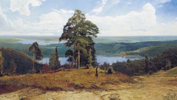 Александр Афонин картины