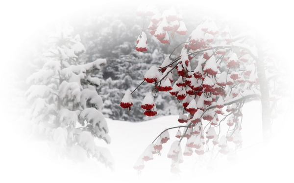 Зима на прозрачном фоне