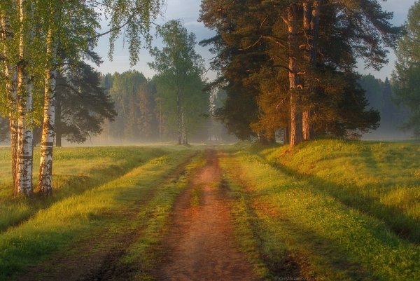 Природа деревня речка Березки