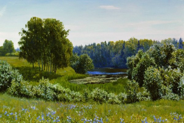 Волков Ефим Ефимович в Березовом лесу