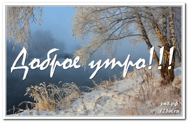 Зимний день