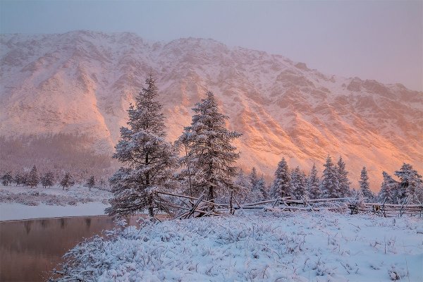 Якутия Оймякон лес
