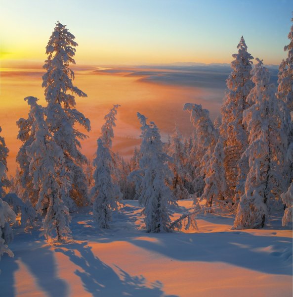 Оймякон природа