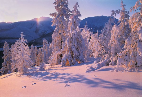 Владимир Рябков фотограф
