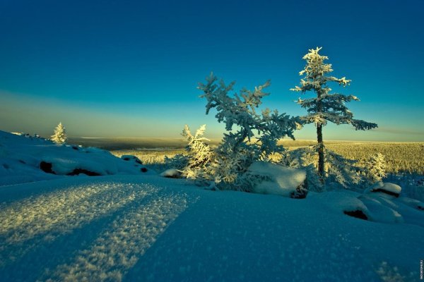 Природа севера зимой