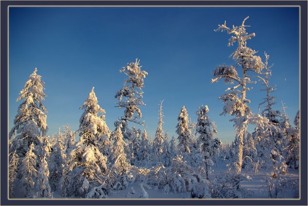 Якутский зимний пейзаж