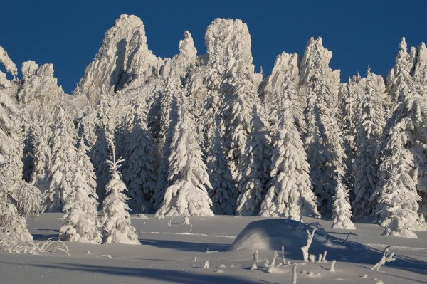 Зимний Ялангас