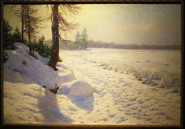 Крыжицкий лес зимой