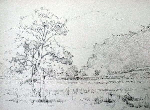 Зарисовки пейзажа карандашом