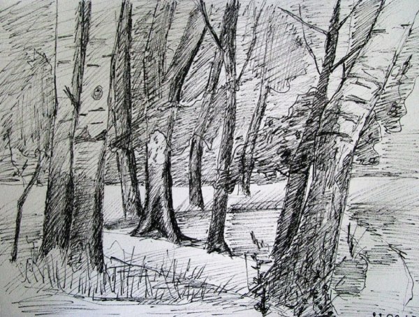 Графика пленэр в деревне