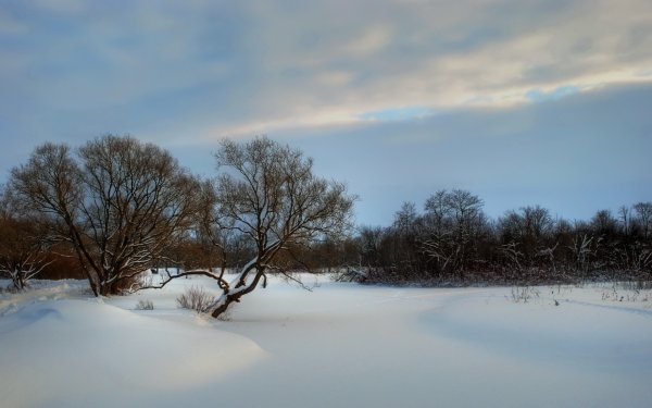 Снежное поле
