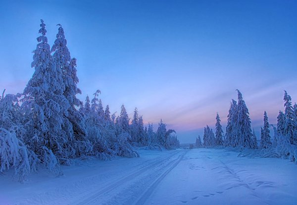 Зимний пейзаж Сибирь