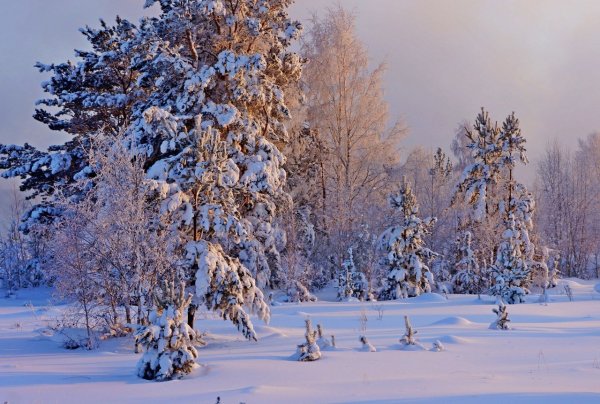 Зимний пейзаж Сибирь