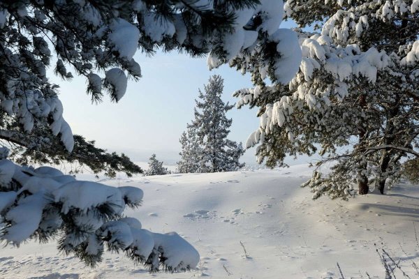 Зимний пейзаж Сибирь