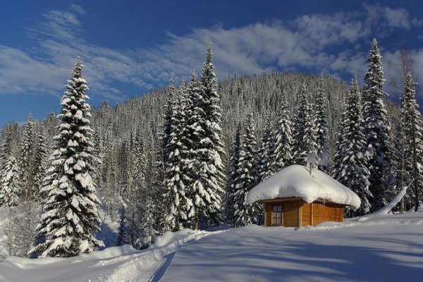 Сибирская Тайга зимой