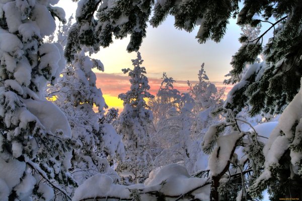 Сибирь зимой