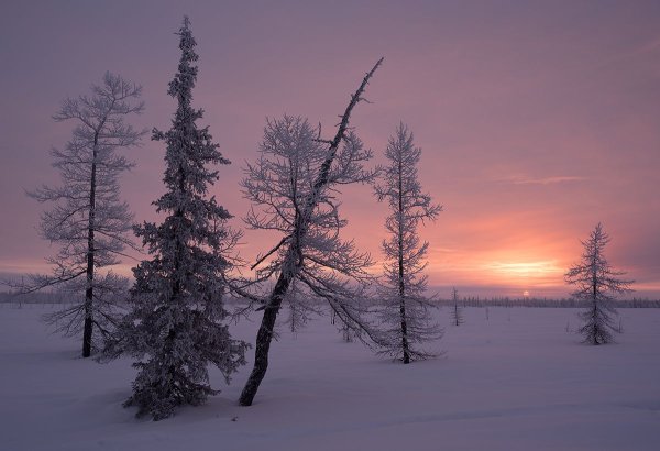 Горная Шория зима