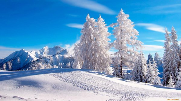 Зимние заставки на рабочий стол компьютера