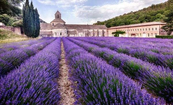 Франция аббатство Сенанк