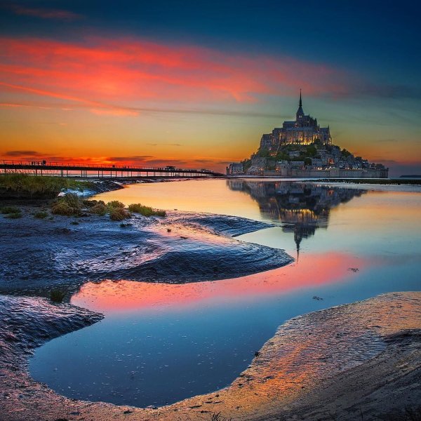 Лавандовые поля во Франции