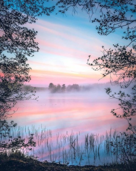 Красивый нежный пейзаж