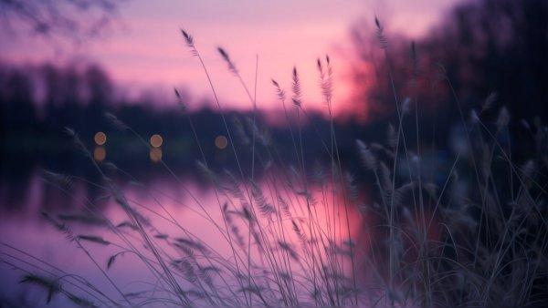 Нежный закат