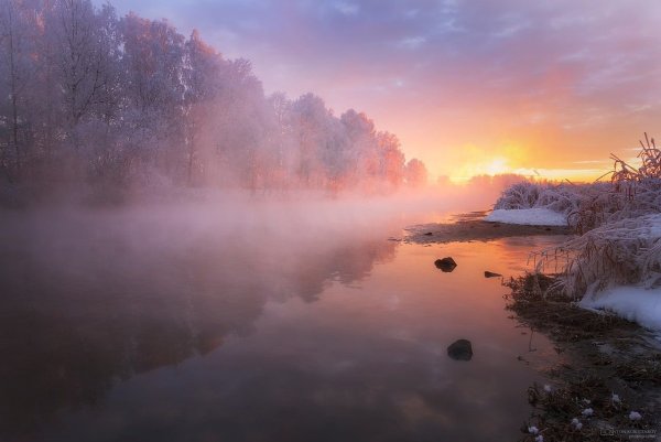 Рассвет туман