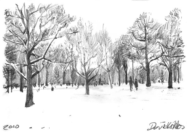 Зарисовки зимних деревьев