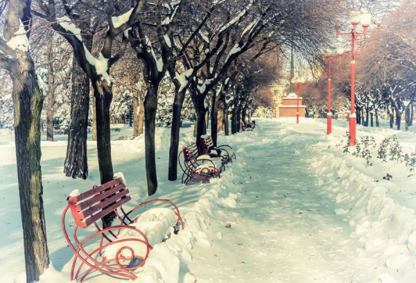 Зима в парке живопись