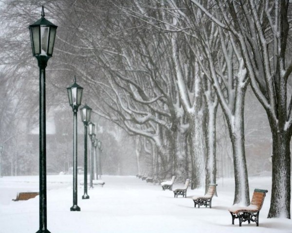 Зимний парк с фонарями