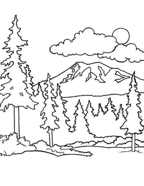 Тайга раскраска