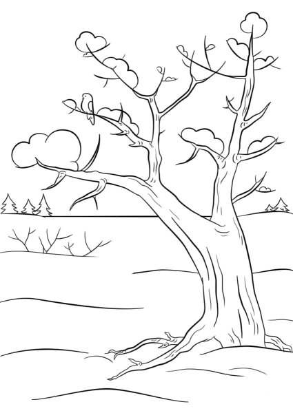 Деревья зимой раскраска для детей