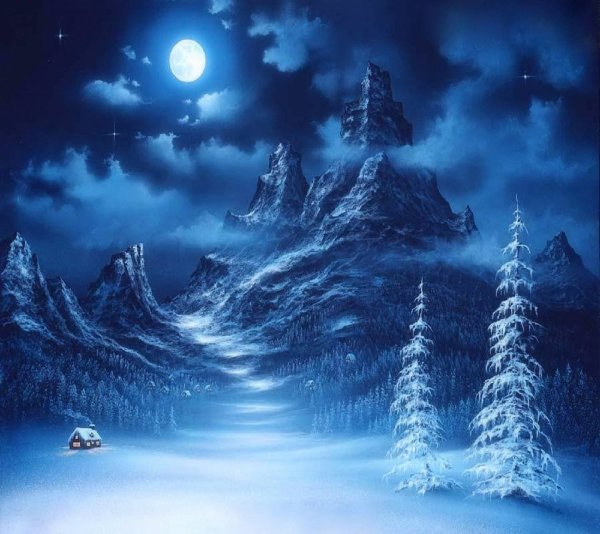 Ночной зимний лес