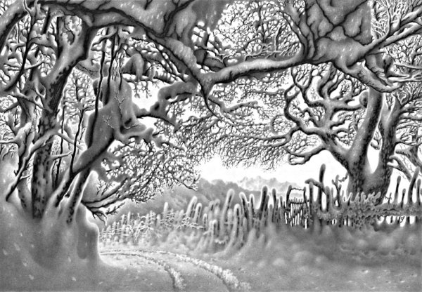 Зимний парк живопись