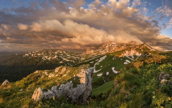 Бетта черное море