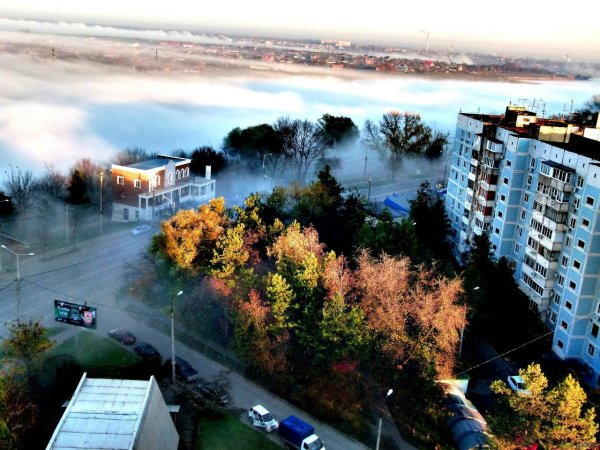 Аллея на красной Краснодар