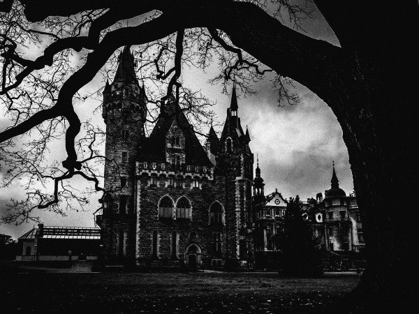 "Готический замок" консерватории в #Саратов