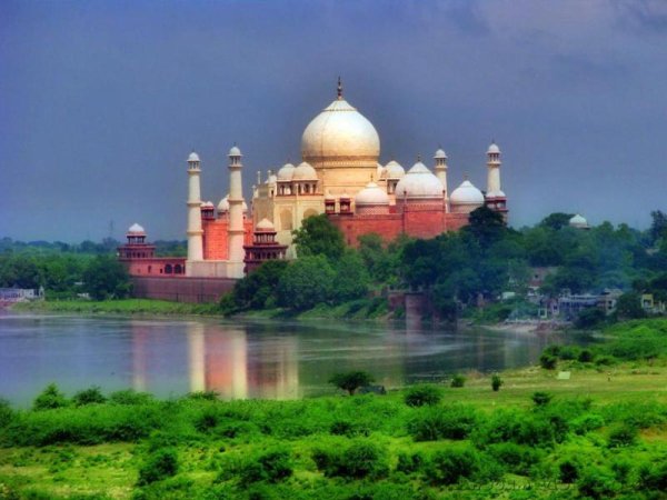 Фон пальмы Гоа